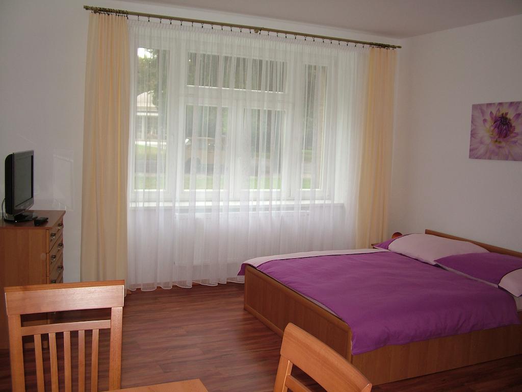 Penzion Rafael Podebrady Phòng bức ảnh