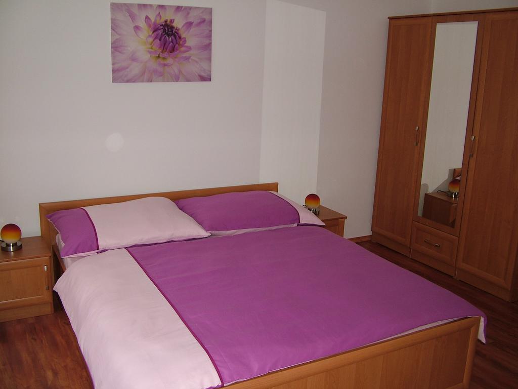Penzion Rafael Podebrady Phòng bức ảnh