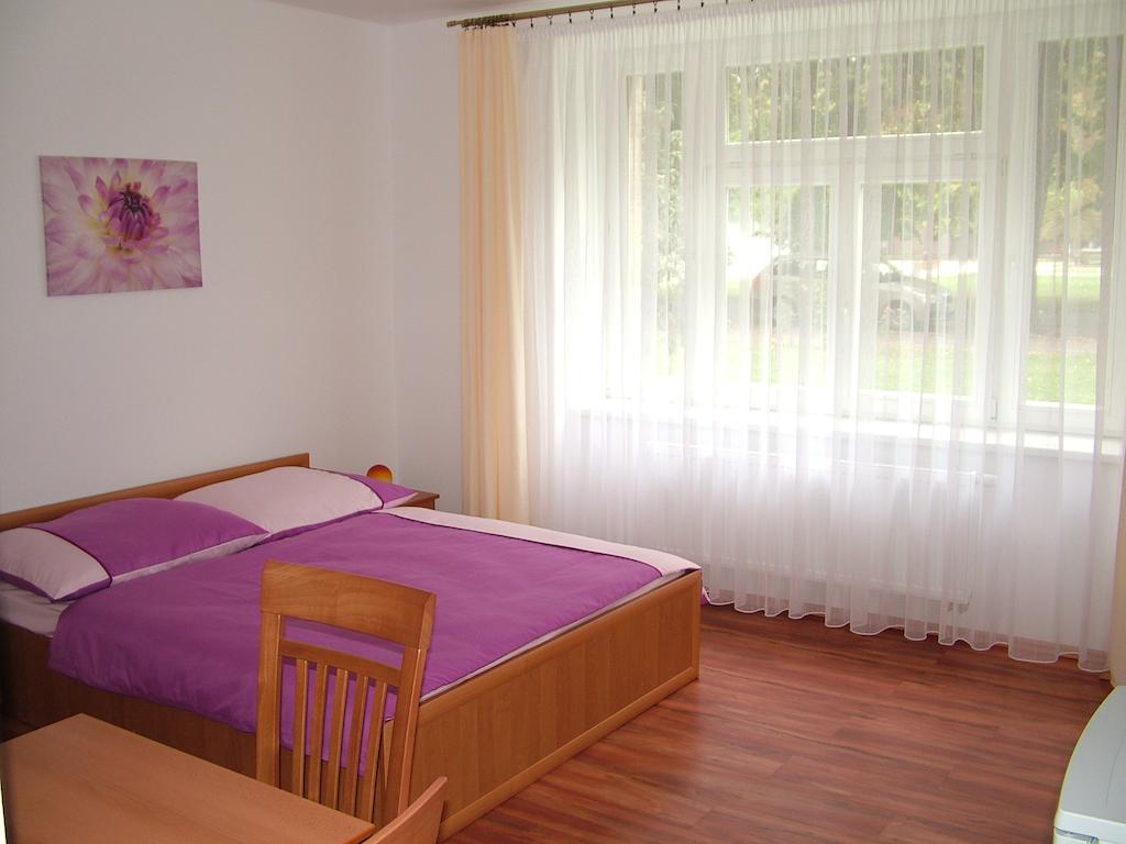 Penzion Rafael Podebrady Phòng bức ảnh