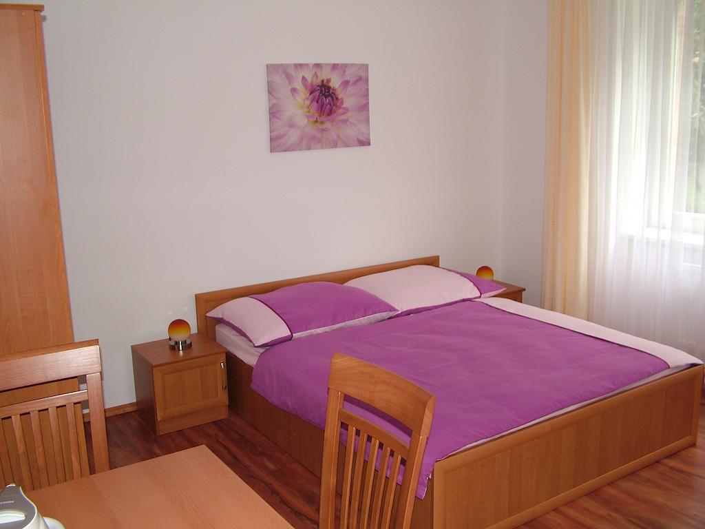 Penzion Rafael Podebrady Phòng bức ảnh